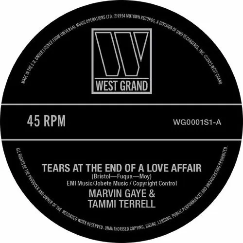 MARVIN GAYE / TAMMI TERRELL / KIM WESTON / TEARS AT THE END OF A LOVE AFFAIR / JUST TOO MUCH TO HOPE FOR