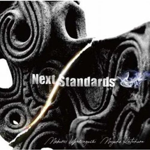 MABUMI YAMAGUCHI + MASYUKO KATAKURA / 山口真文+片倉真由子 / Next Standards / NEXT STANDARDS