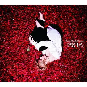 Acid Black Cherry / アシッド・ブラック・チェリー / 『2012』