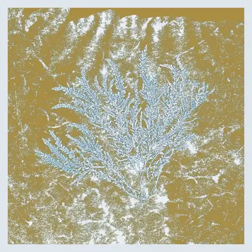 HUERCO S. / フエアコ・エス / FOR THOSE OF YOU WHO HAVE NEVER (AND ALSO THOSE WHO HAVE) (2025 REPRESS)