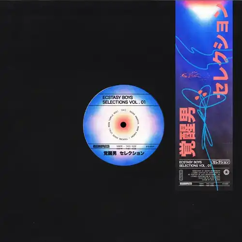ECSTASY BOYS / エクスタシー・ボーイズ / SELECTIONS VOL. 1