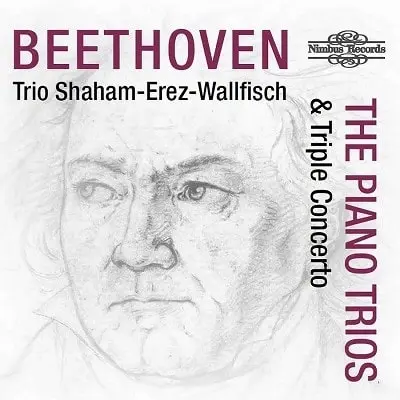 HAGAI SHAHAM / ハガイ・シャハム / BEETHOVEN:PIANO TRIOS/TRIPLE CONCERTO (CD-R)