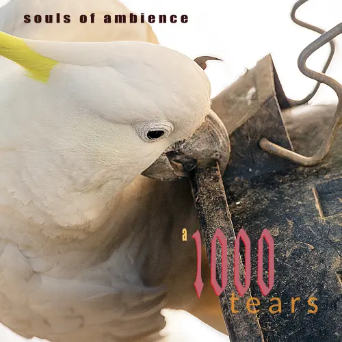 SOULS OF AMBIENCE / ソウルズ・オブ・アンビエンス / サウザンド･ティアーズ＜直輸入盤国内仕様＞ / A 1000 TEARS