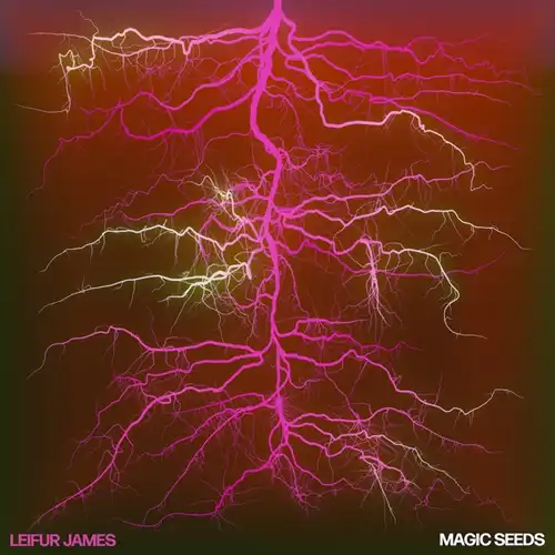 LEIFUR JAMES / MAGIC SEEDS (数量限定/ルビー・ヴァイナル/8ページ・ブックレット) / MAGIC SEEDS