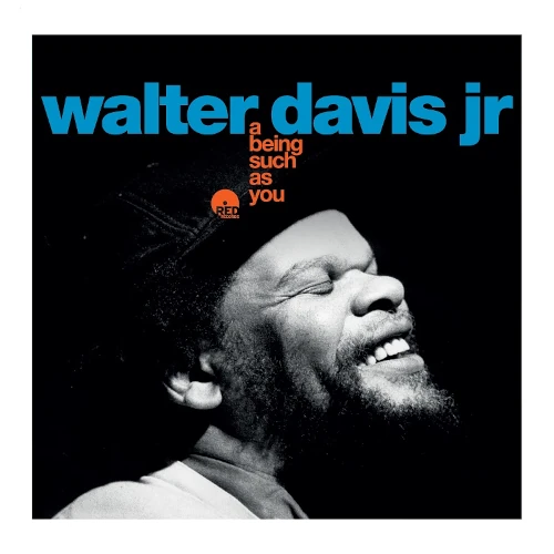 WALTER DAVIS JR. / ウォルター・デイヴィス・ジュニア / A BEING SUCH AS YOU