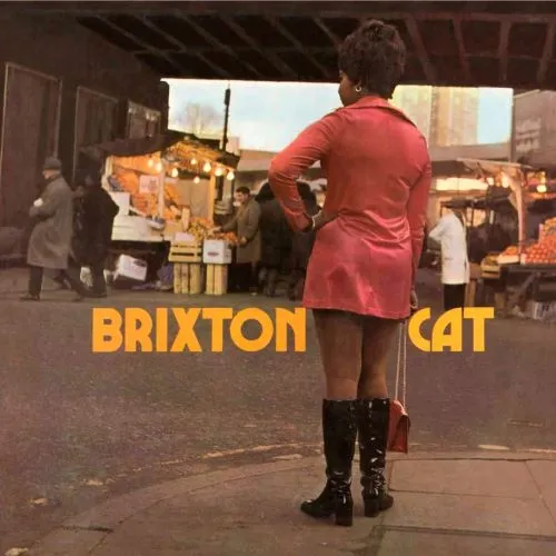 V.A. / BRIXTON CAT