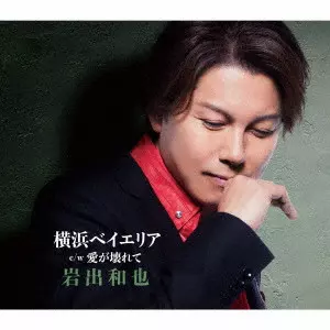 KAZUYA IWADE / 岩出和也 / 横浜ベイエリア/愛が壊れて