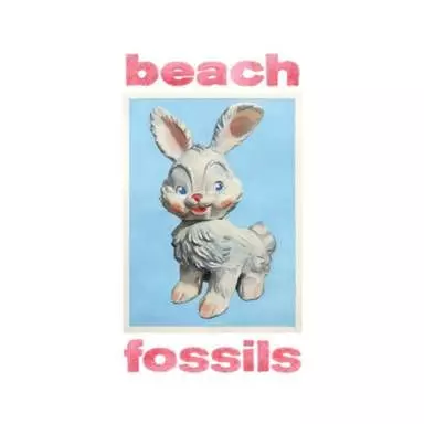 BEACH FOSSILS / ビーチ・フォッシルズ / バニー（帯付き / ブルーバイナル）