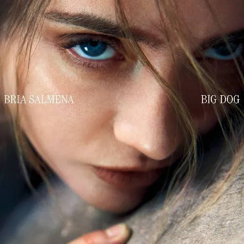 BRIA SALMENA / ブリア・サルメナ / BIG DOG [CD]
