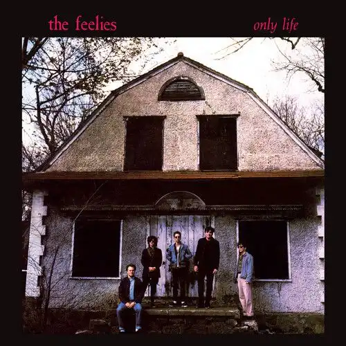FEELIES / フィーリーズ / ONLY LIFE [LP]