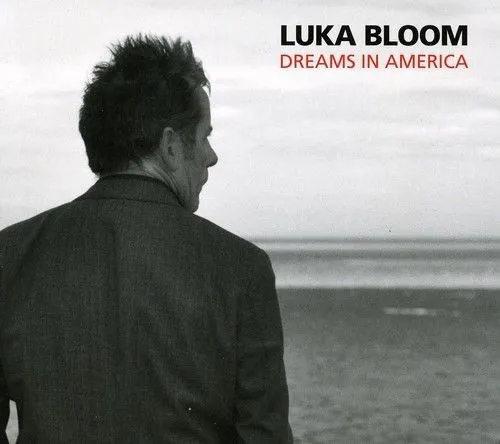 LUKA BLOOM / ルカ・ブルーム / DREAMS IN AMERICA