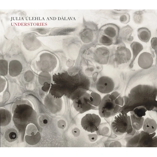 JULIA ULEHLA / UNDERSTORIES