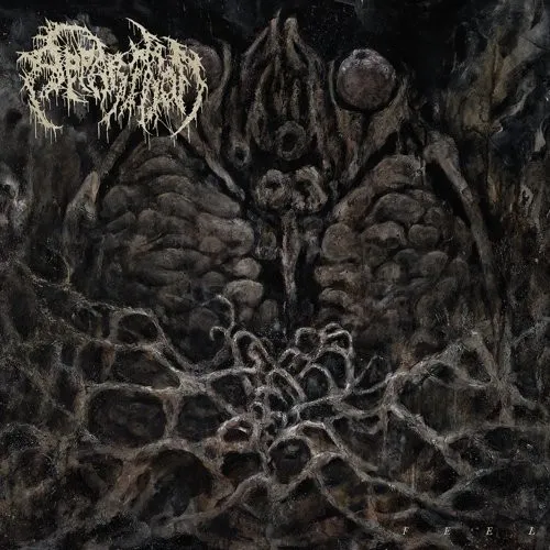 APPARITION / FEEL