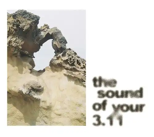 V.A. (SOUND OF YOUR 3.11) / SOUND OF YOUR 3.11