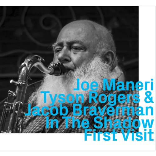 JOE MANERI, TYSON ROGERS & JACOB BRAVERMAN / IN THE SHADOW FIRST VISIT