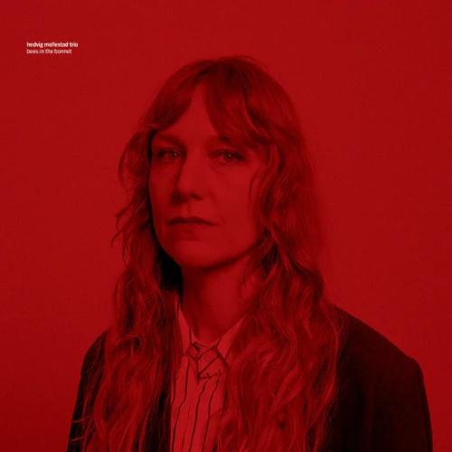 HEDVIG MOLLESTAD / BEES IN THE BONNET (LP)