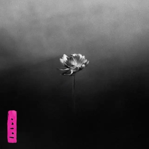LITTLE SIMZ / リトル・シムズ / LOTUS（国内盤CD）
