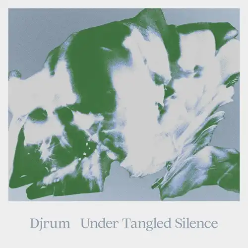 DJRUM / ドラム / UNDER TANGLED SILENCE (2LP)