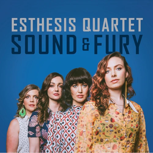 ESTHESIS QUARTET / SOUND OF FURY