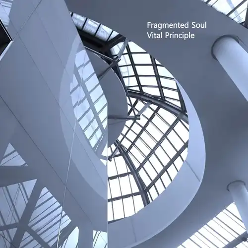 FRAGMENTED SOUL / VITAL PRINCIPLE