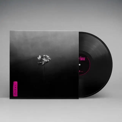 LITTLE SIMZ / リトル・シムズ / LOTUS (LP)