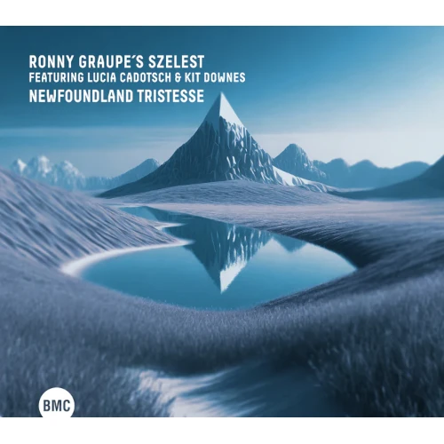 RONNY GRAUPE / NEWFOUNDLAND TRISTESSE