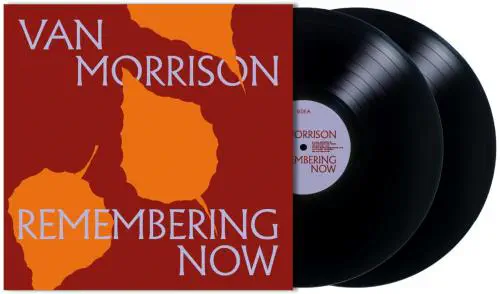 VAN MORRISON / ヴァン・モリソン / REMEMBERING NOW (2LP)