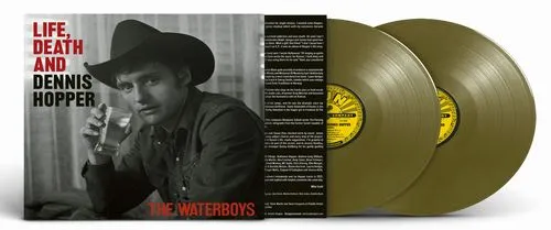 WATERBOYS / ウォーターボーイズ / LIFE, DEATH, & DENNIS HOPPER [LP]