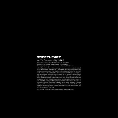 SWEETHEART / スウィートハート / THE PROCESS OF MAKING US WELL (12")