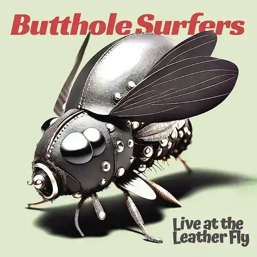 BUTTHOLE SURFERS / バットホール・サーファーズ / LIVE AT THE LEATHER FLY (OPAQUE PINK VINYL)