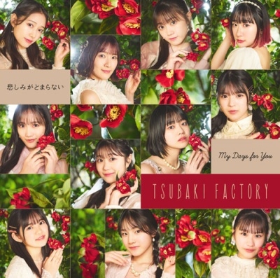 CAMELLIA FACTORY / つばきファクトリー / My Days for You / 悲しみがとまらない（初回限定盤SP CD+Blu-ray）
