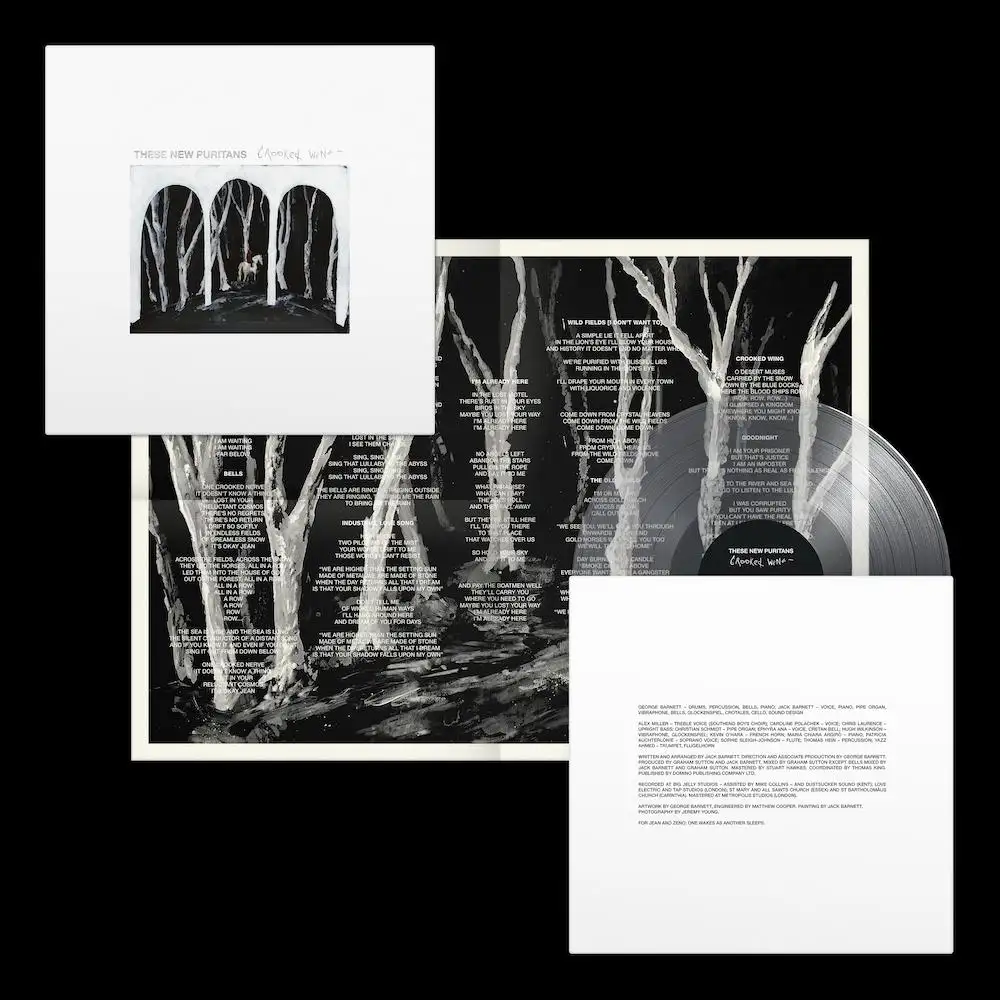 THESE NEW PURITANS / ジーズ・ニュー・ピューリタンズ / CROOKED WING (INDIE EXCLUSIVE)