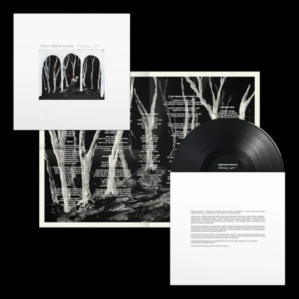 THESE NEW PURITANS / ジーズ・ニュー・ピューリタンズ / CROOKED WING (LP)