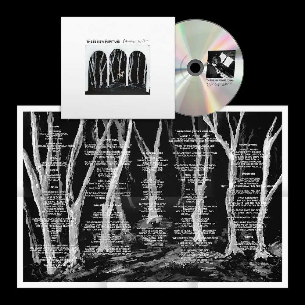 THESE NEW PURITANS / ジーズ・ニュー・ピューリタンズ / CROOKED WING (CD)