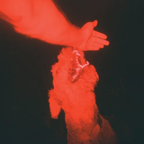 ELI WINTER / A TRICK OF THE LIGHT ("OPTICAL ILLUSION" TRANSPARENT RED VINYL)
