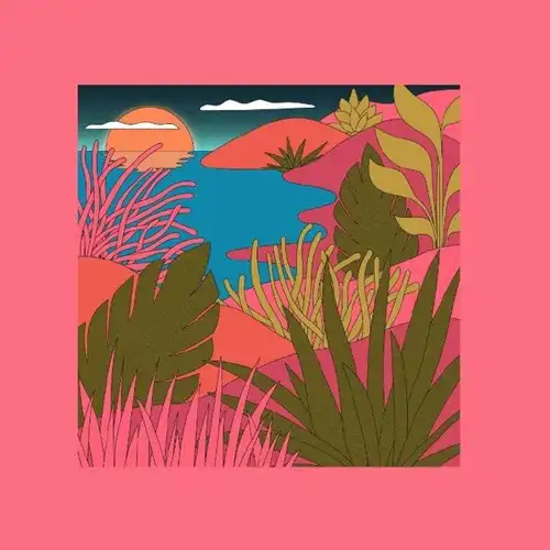 COYOTE / PEAKING LIGHTS / LOVE LETTERS (12")
