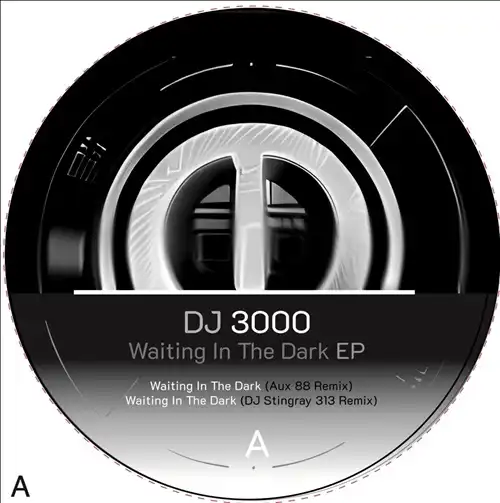DJ 3000 / WAITING IN THE DARK EP