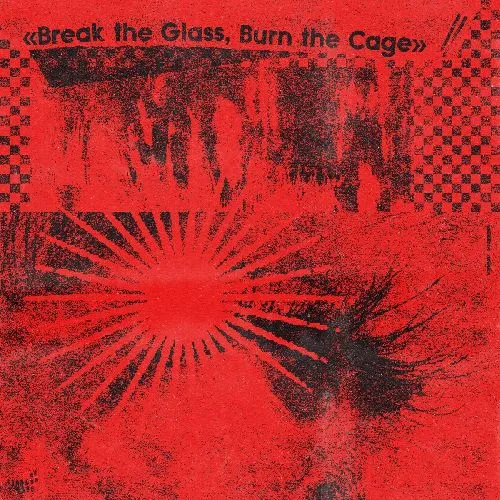 V.A. (ROCK / POPS) / BREAK THE GLASS. BURN THE CAGE (THE SOUND OF INDIE PUNK ROCK) (CD)