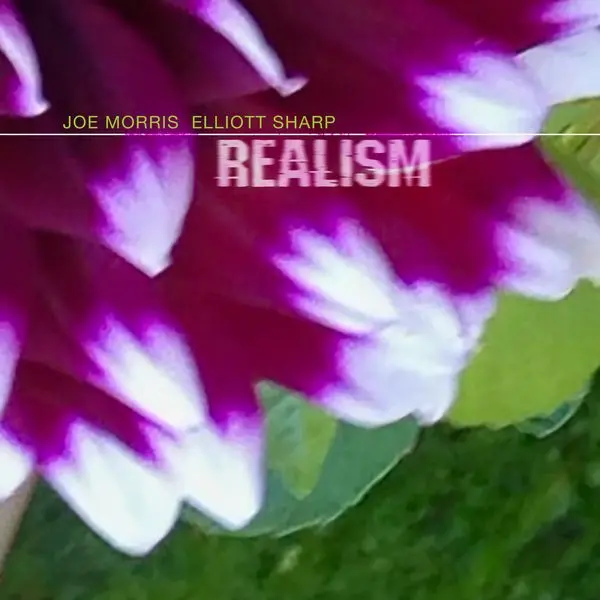 JOE MORRIS & ELLIOT SHARP / ジョー・モリス&エリオット・シャープ / REALISM