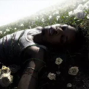 d4vd / デイヴィッド / WITHERED(JAPAN SPECIAL EDITION) / ウィザード(ジャパン・スペシャル・エディション)