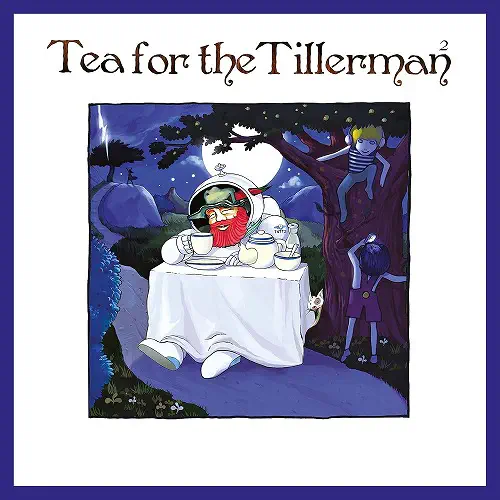 CAT STEVENS (YUSUF) / キャット・スティーヴンス(ユスフ) / TEA FOR THE TILLERMAN 2 (LP)