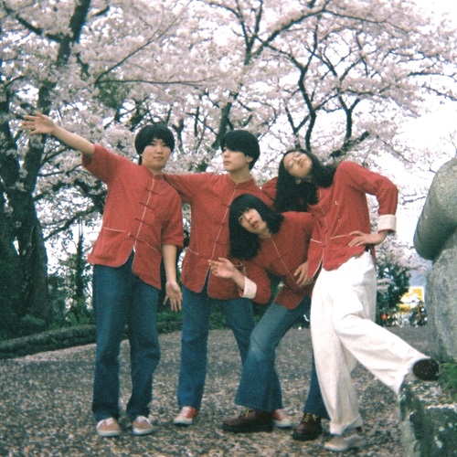 THE HOLDENS / RAIMUGI（LP）