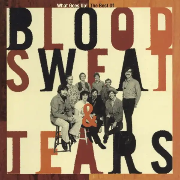 BLOOD, SWEAT & TEARS / ブラッド・スウェット&ティアーズ / WHAT GOES UP! THE BEST OF (2CD)