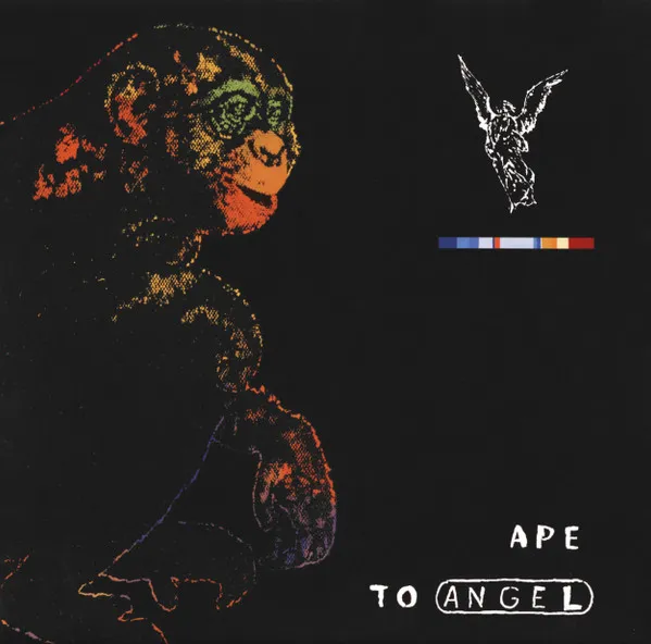 PITCH BLACK / ピッチブラック / APE TO ANGEL