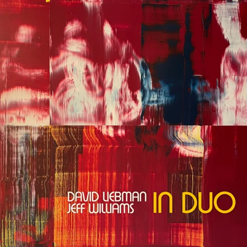 DAVE LIEBMAN & JEFF WILLIAMS / デイヴ・リーブマン&ジェフ・ウィリアムズ / IN DUO (LP)