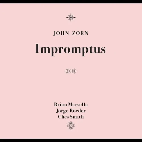 JOHN ZORN / ジョン・ゾーン / IMPROMPTUS