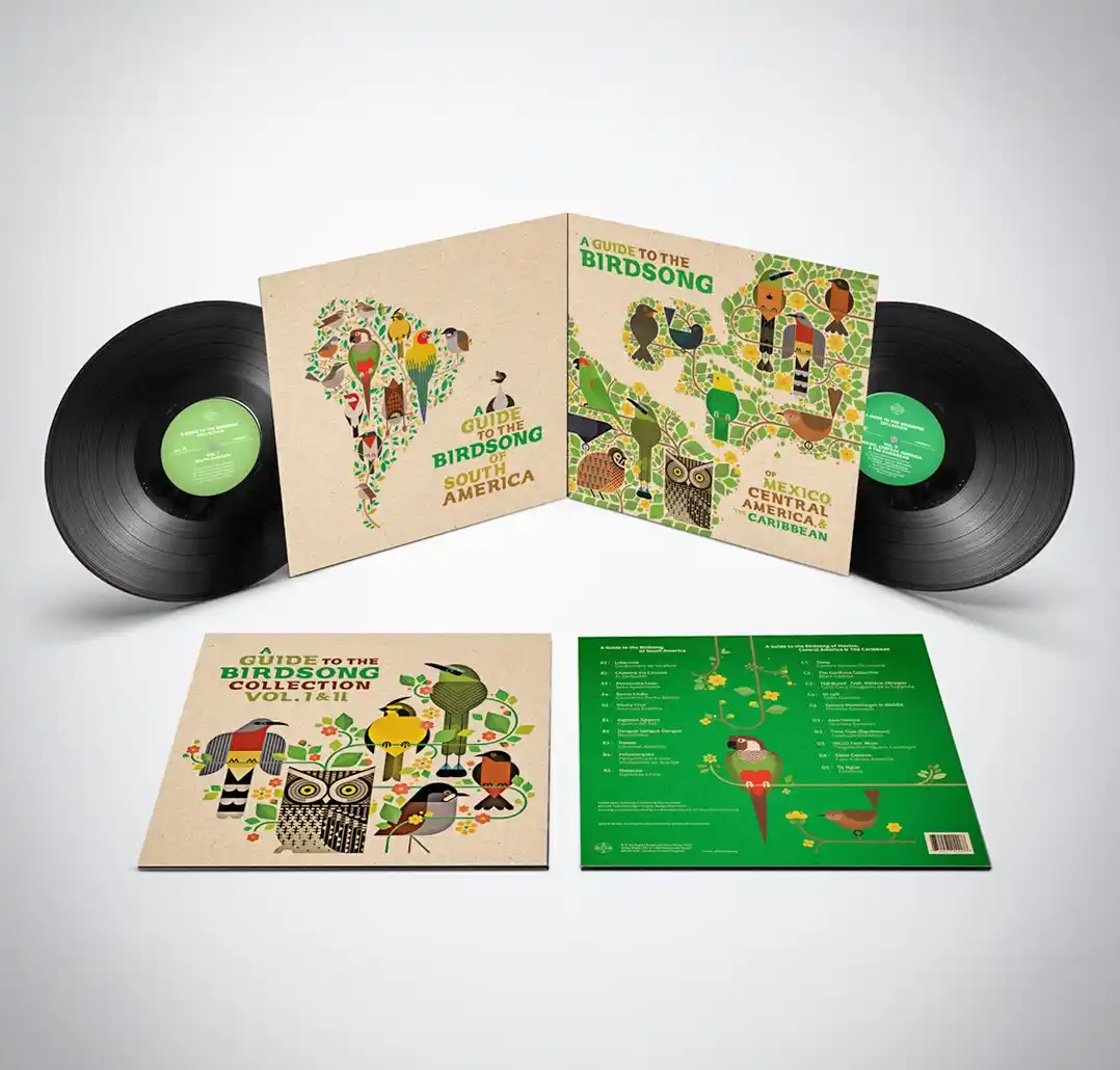 V.A. (A GUIDE TO THE BIRDSONG) / オムニバス / A GUIDE TO THE BIRDSONG COLLECTION: VOL I & II (2LP)