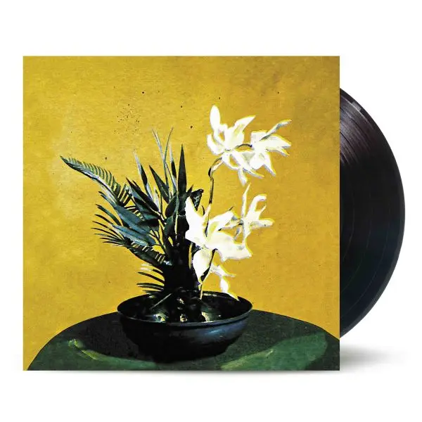 V.A. (SERIE TEOREMA) / セリエ･テオレマ #18 クナン･クナンガン 10" VINYL VOL.1 / SERIE TEOREMA #18 KENANG KENANGAN 10" VINYL VOL.1