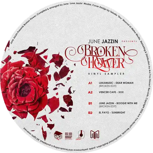 V.A. (ARE YOU HOUSE) / BROKEN FLOWER - VINYL SAMPLER