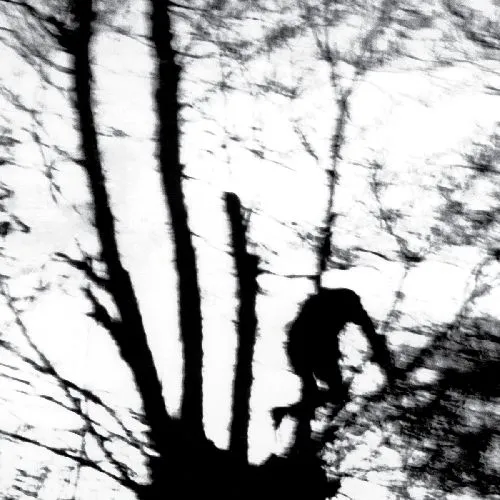 CINDYTALK / CAMOUFLAGE HEART (LP - TRANSPARENT CLEAR)